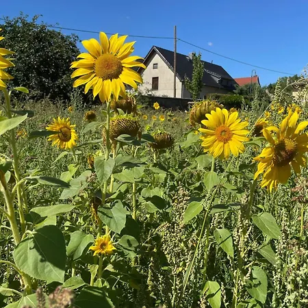 Parkblick By Interhome *