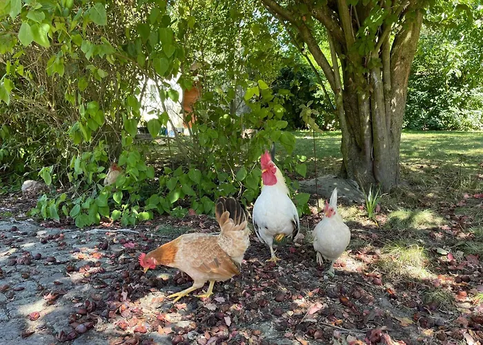 Parkblick By Interhome